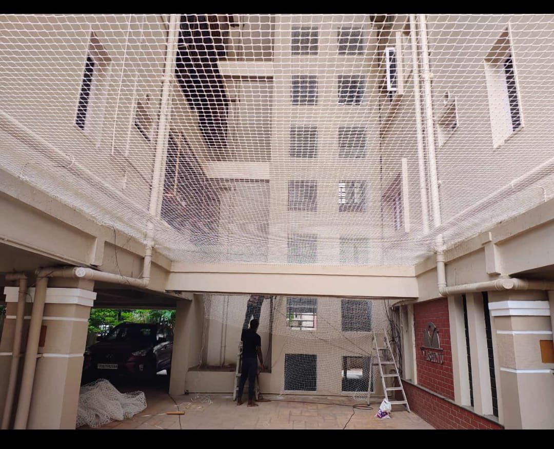 Real coconut tree safety net installation